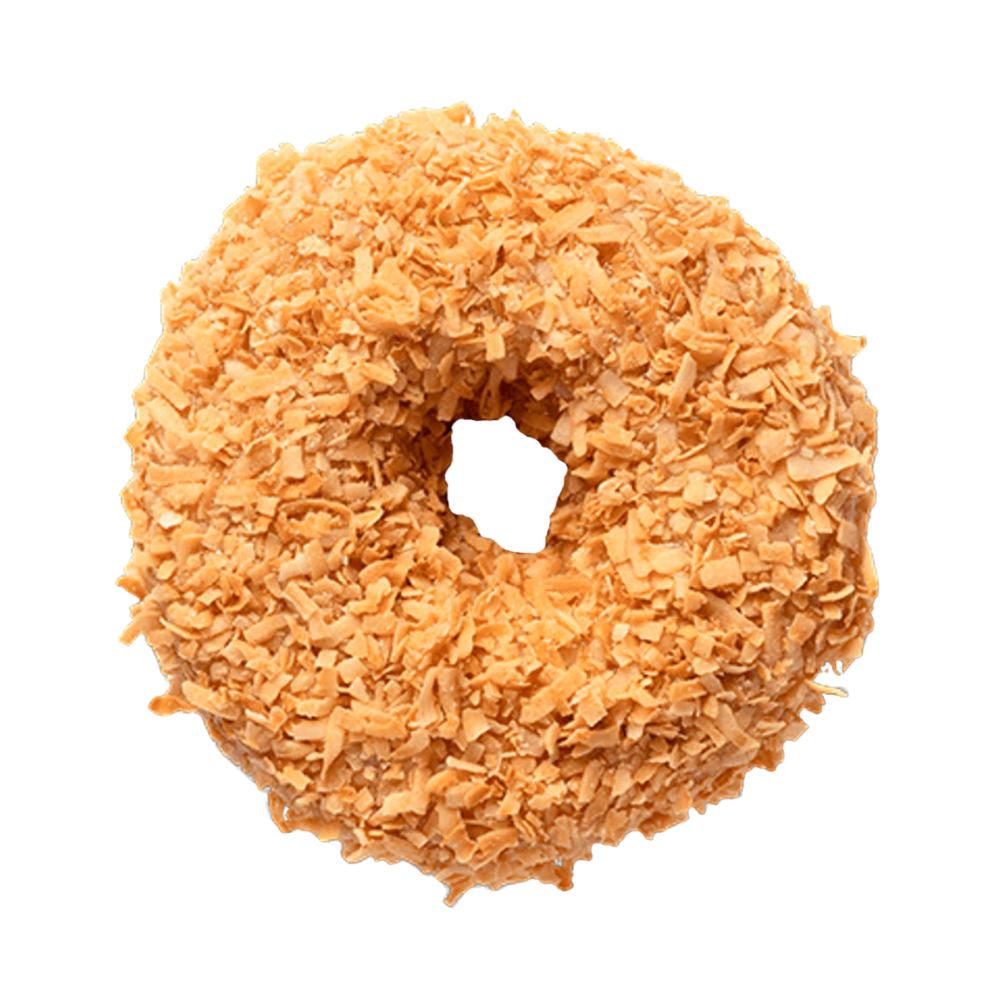 Toasted Coconut Donuts